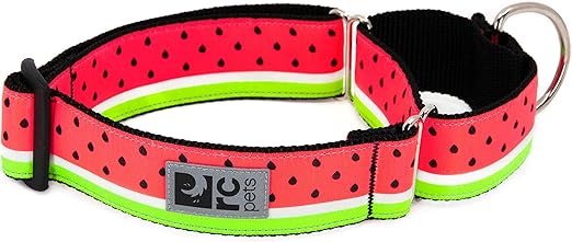 rc pets watermelon collar