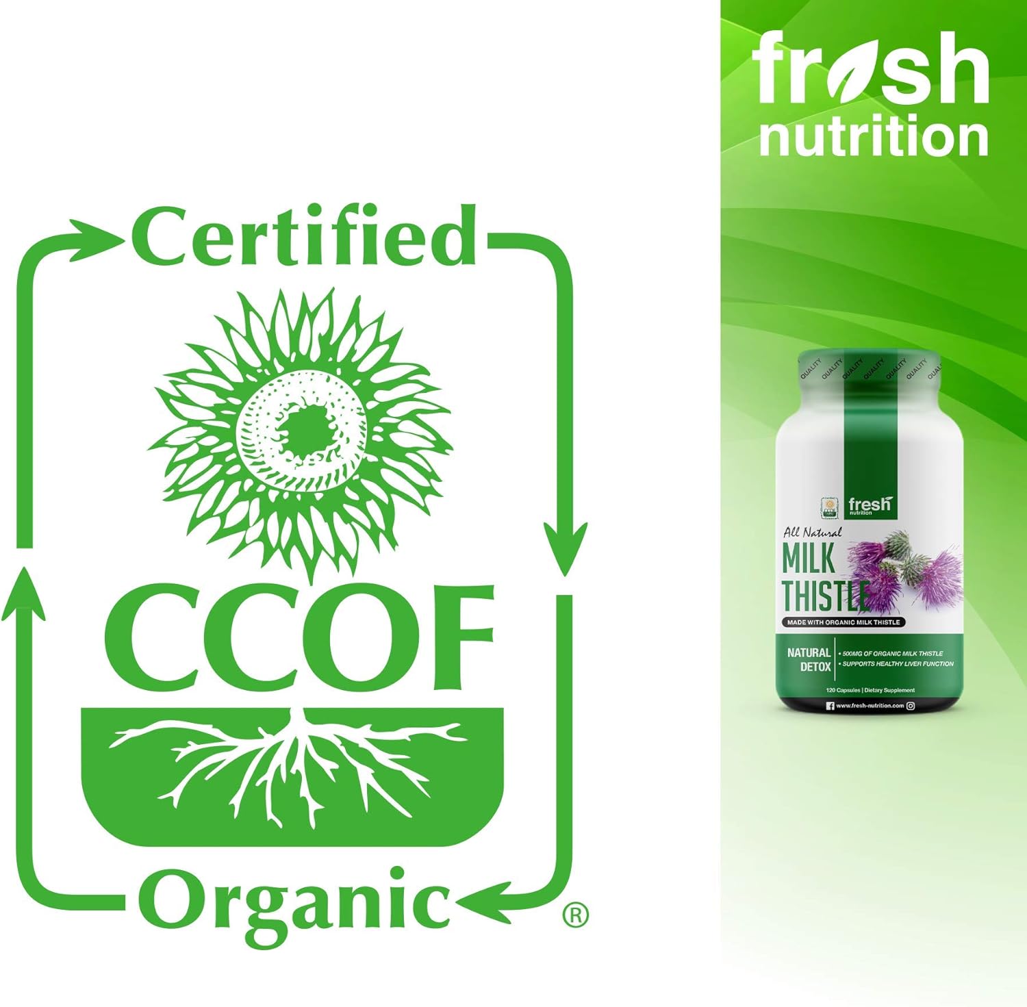 Milk Thistle Organic - 120 Servings of 2000mg - Strong – 4 Month Supply – CCOF Organic - Silymarin Thisilyn Seed Standardized Extract 4:1 Capsules - Great for Liver Cleanse - USA: Health & Personal Care
