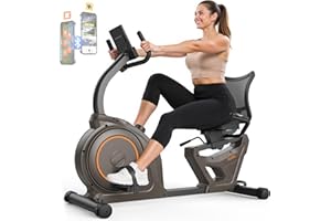 Niceday Recumbent Exercise Bike, Recumbent Bike for Home, Recumbent Stationary Bike 400LBS Weight Capacity, Magnetic Recumbent Bike with Smart APP, LCD Monitor, Heart Rate Handle
