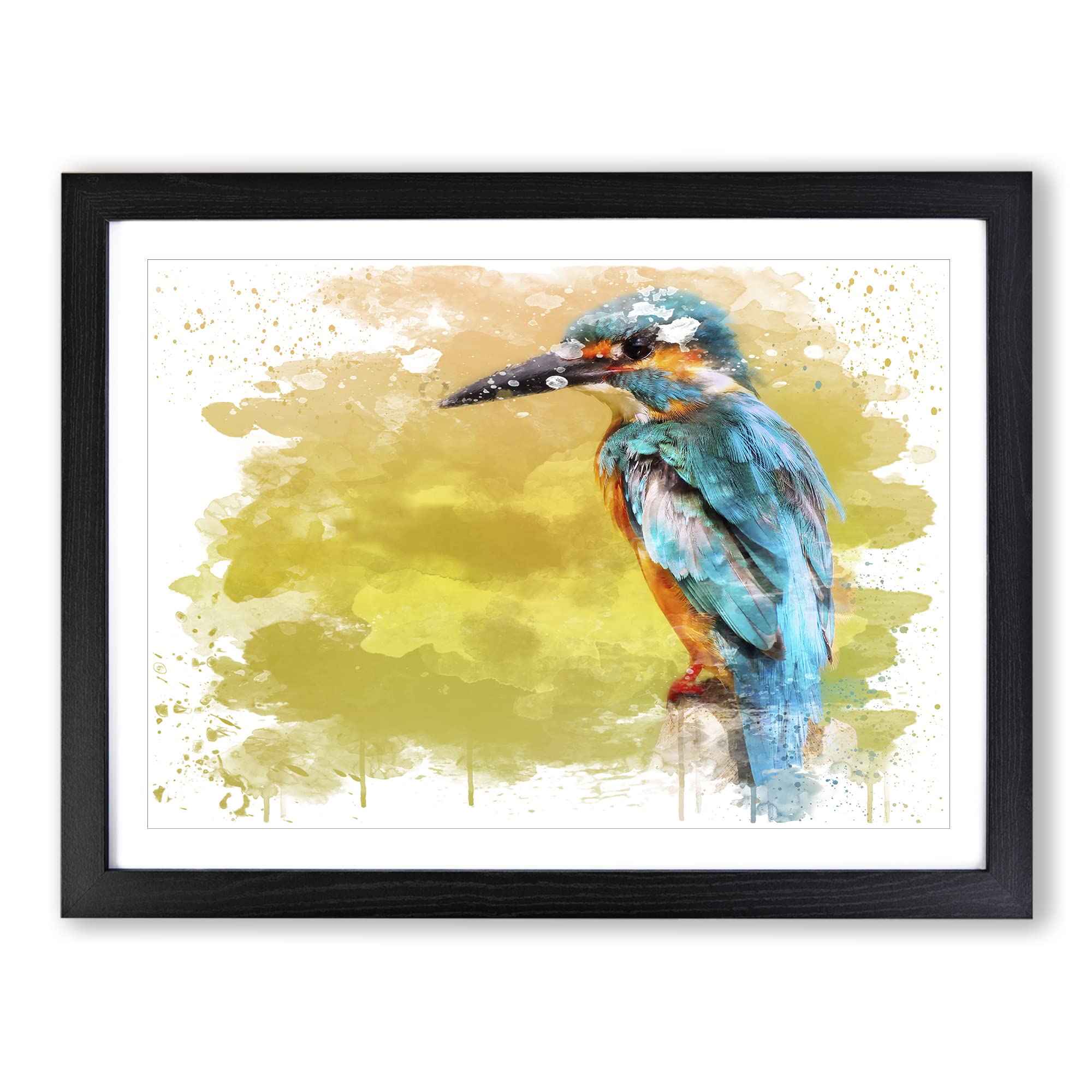 Striking Kingfisher Bird V3 Modern Framed Wall Art Print, Ready to Hang Picture for Living Room Bedroom Home Office Décor, Black A3 (46 x 34 cm)