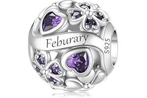 LNQOBU 925 Sterling Silve Lucky Birthstone Charm for Bracelets, With 5A Cubic Zirconia Birthday Charms Dangle Pendant Bead fo