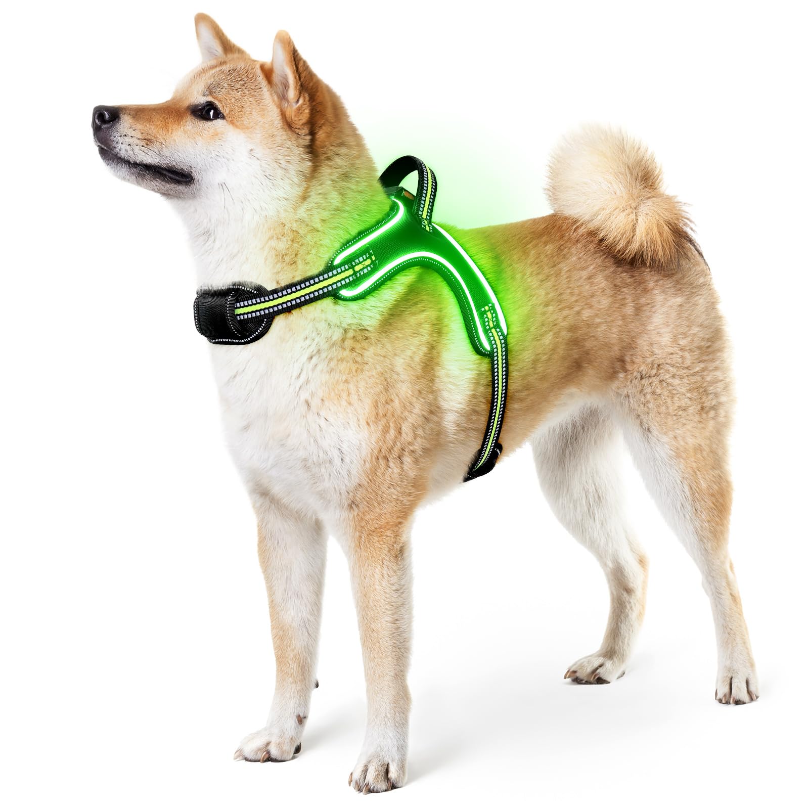 Light Up Dog Harness No Pull LED Dog Harness with Handle Rechargeable Rainproof Pet Harness for Night Walking Glowing Dog Vest Harness for Small Medium Large X-Large Dogs (Green, M)