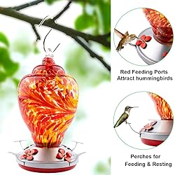 WOSIBO Hummingbird Feeder for Outdoors Patio Large