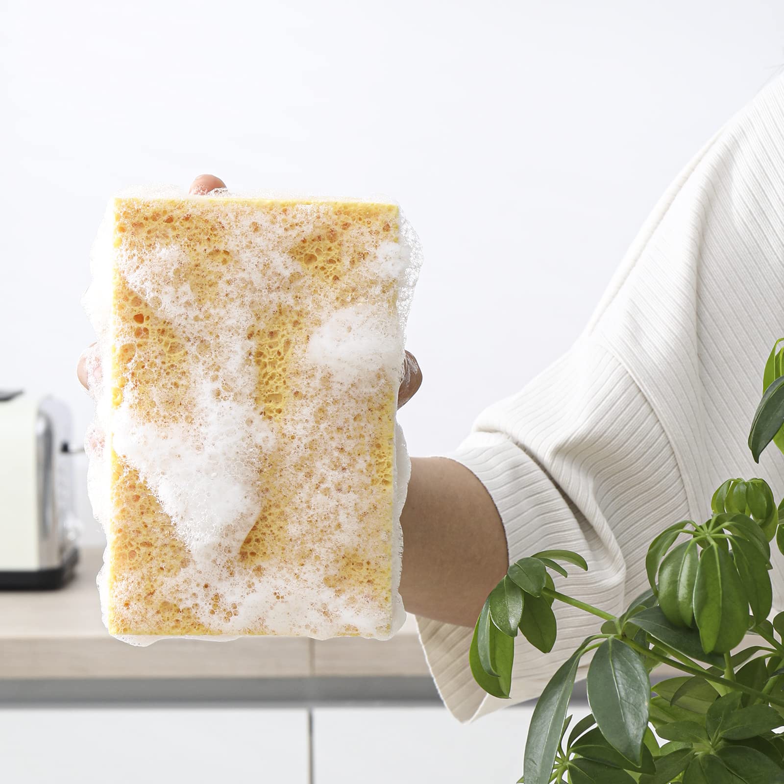 Natural Sponges Kitchen,2