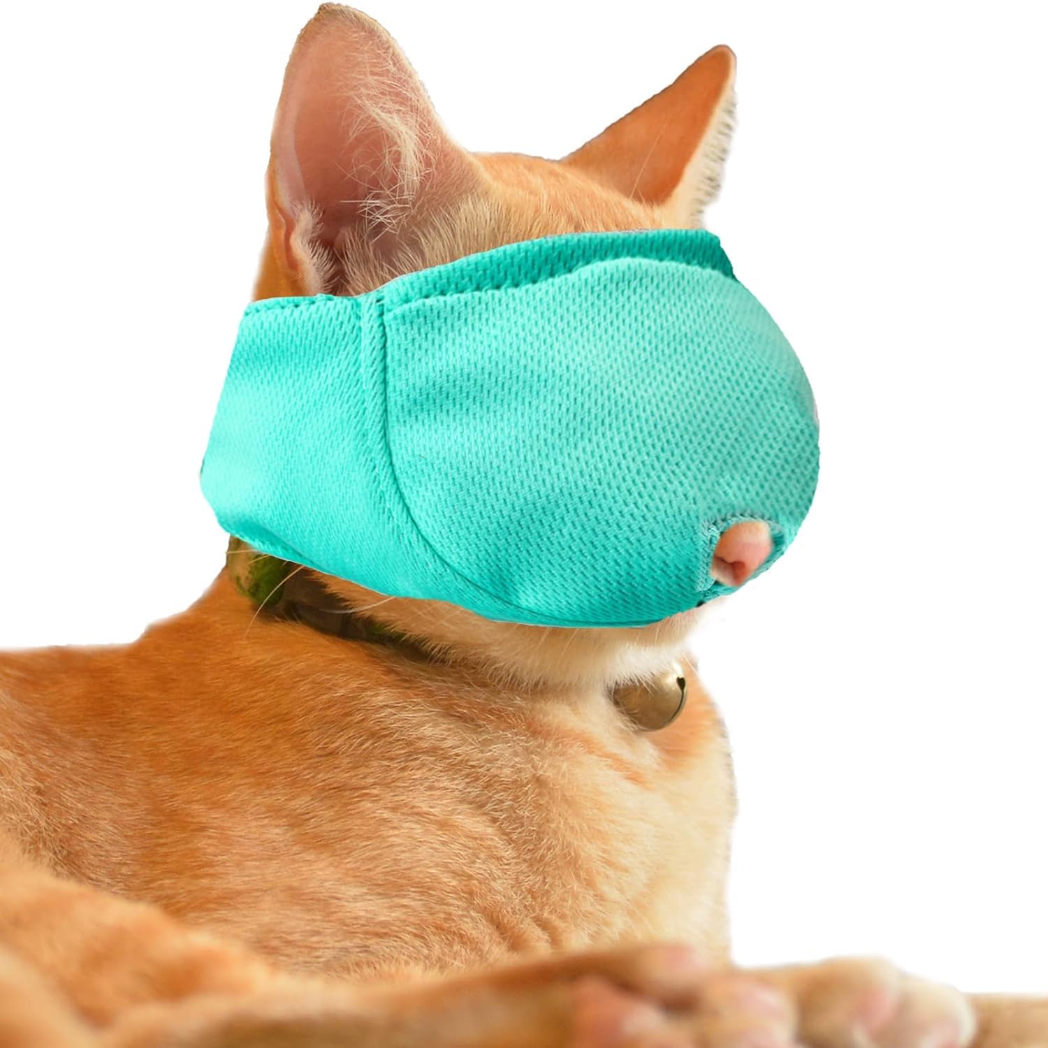 OHCOZZY Cat Muzzle with Breathable Mesh, Cat Mouth Guard Muzzle Mask for Prevent Biting Chewing Grooming (L, Green)