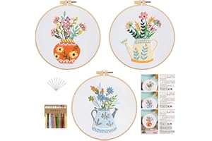 GLTAYLMY 3pcs Embroidery Starter Kit with Vase Pattern, Stamped Cross Stitch Kits for Beginners Adults with Embroidery Hoop a