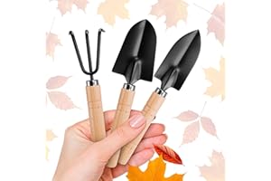 ZOKLU 3 Pcs Small Garden Tools for Gardening – Planting Tools Set with Small Garden Shovel Hand, Ergonomic Hand Rake, Rustproof & Solid Wood Handle – Shovels for Digging & Indoor Plant Care