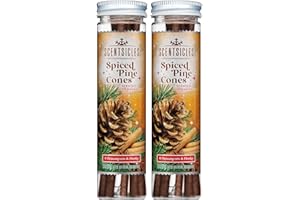 Scentsicles Spiced Pine Cones Scented Christmas Ornaments with Hooks - 2 Bottles (12 Sticks Total)