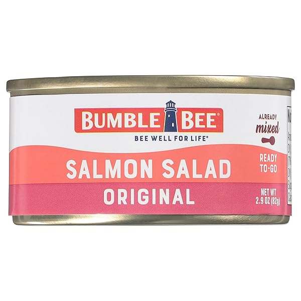 BUMBLE BEE SNACK ON THE RUN! PROTEIN SNACK PACK – 8G PROTEIN PER BOX – SALMON SALAD WITH CRACKERS KIT – READY TO EAT EASY-OPEN CAN – WILD CAUGHT MSC-CERTIFIED SEAFOOD (PACK OF 1)