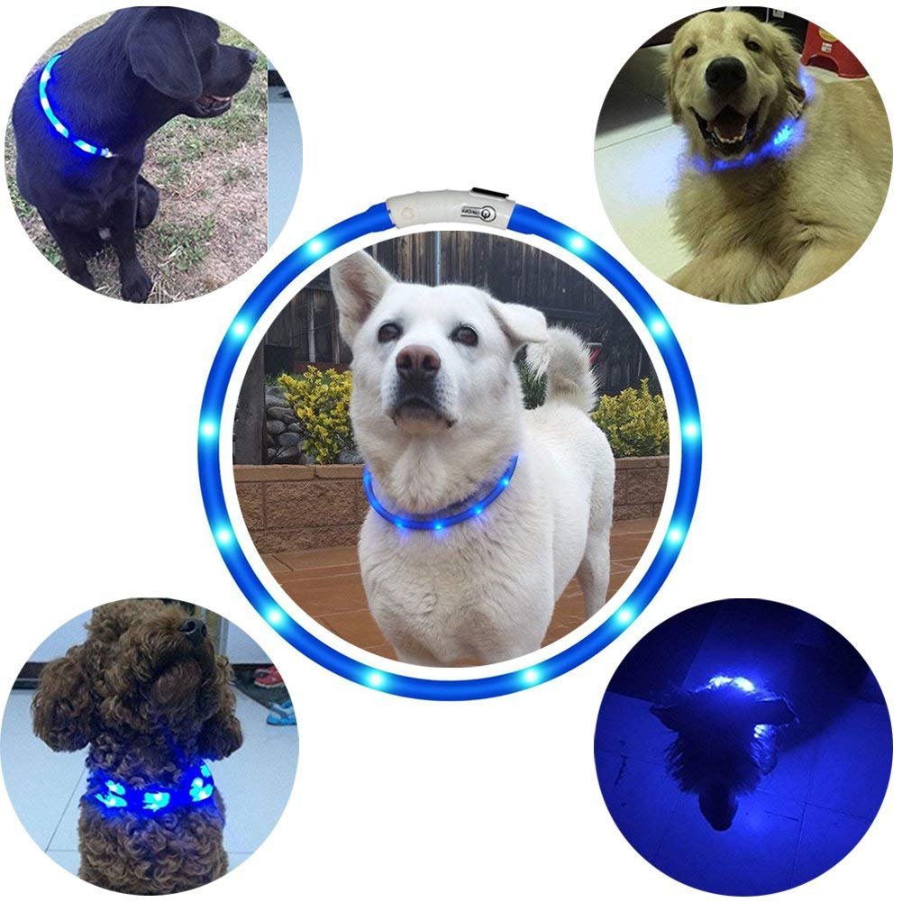 Hunde Leuchthalsband LED Halsband Hundehalsband Hunde, individuell kürzbar, USB aufladbar, Kabel im Lieferumfang enthalten, von Fashion&Cool (Blau)