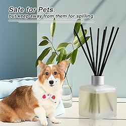 Brakula Reed Diffuser Set, Lemon & Verbena Scented