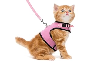 PUPTECK Soft Mesh Cat Vest Harness and Leash Set Puppy Padded Pet Harnesses Escape Proof for Cats Small Dogs (Small, Pink)