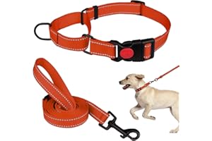 MTLIEPTE Martingale Dog Collar and Leash Set Martingale Collars for Dogs Reflective Martingale Collar for Small Medium Large Dogs(Orange&S)