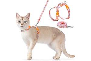 Dooradar Cat Harness and Leash, Escape Proof Adjustable Kitten Vest, Lightweight Soft Pet Straps, Easy Wearing for Small Medium Kitty Safe Walking Travel Control, Rainbow, M