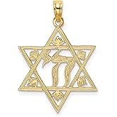 14k Yellow Gold Star of David Pendant with Chai Symbol and Floral Accents for Men or Women, Jewish Religious Necklace for Faith, Spirituality, Judaism, Hebrew Life Jewelry, Gold Judaica Charm
