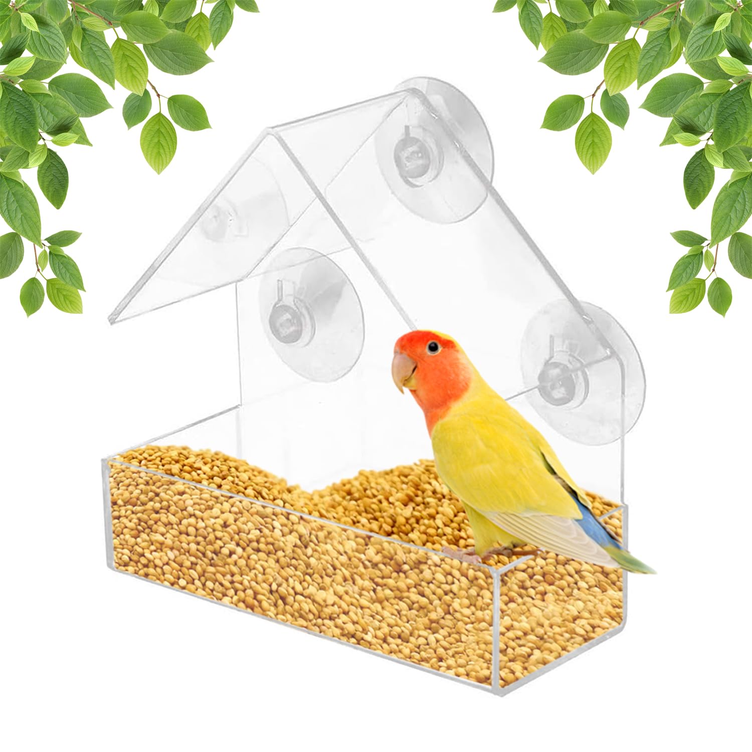 WUBAYI Clear Acrylic Bird Feeder - House Shape Design with 4 Suction Cups for Window, Garden, Outdoor, Backyard, Little Birds