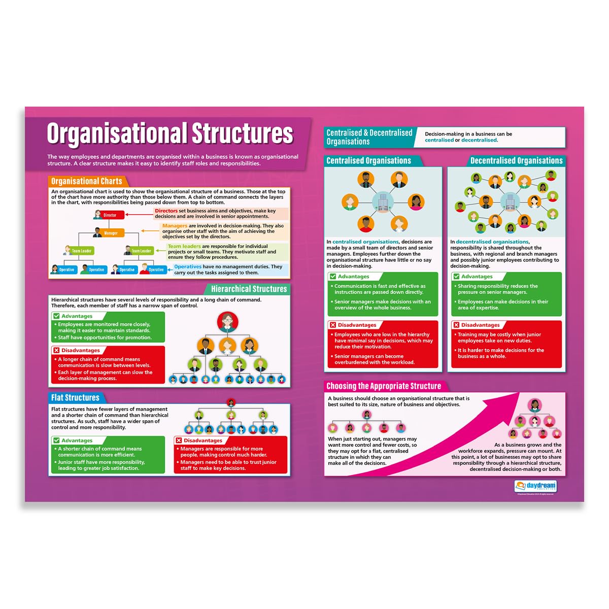 Organizational Structures | Business Posters | Laminated Gloss Paper measuring 850mm x 594mm (A1) | Business Class Posters | Education Charts by Daydream Education