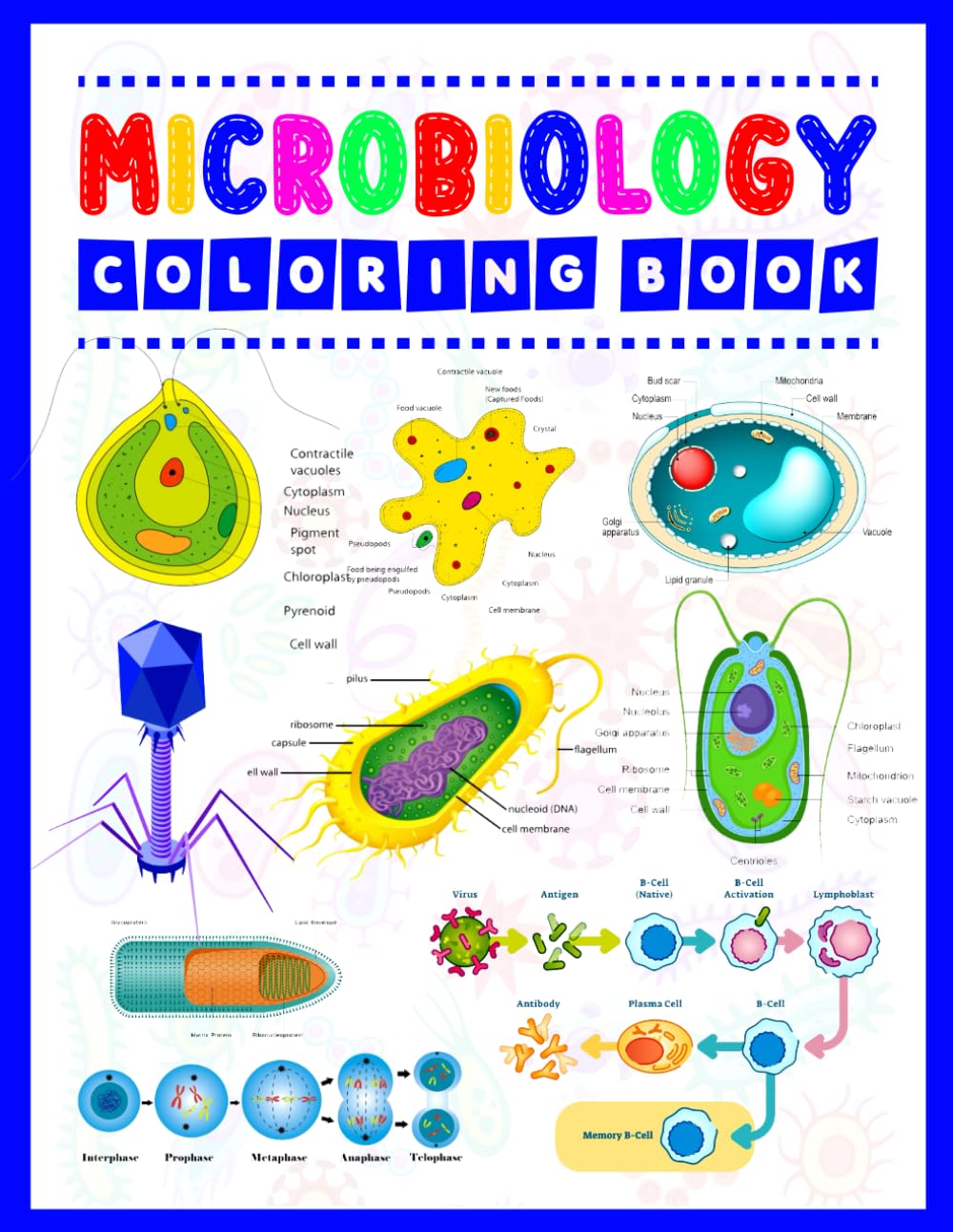 Microbiology Coloring Book: Microbiology Coloring Book For Kids Adults Teens & Medical Students. Bacteria Archaea Fungi Algae & Protozoa Coloring ... Student's Self-Test Coloring Book.
