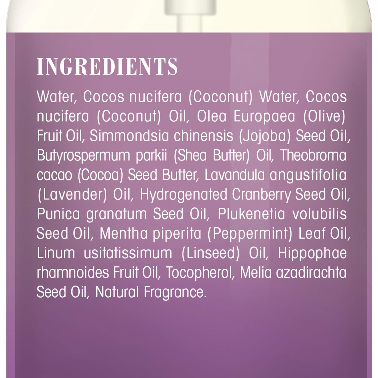 BOTANIC HEARTH Lavender Body Wash for Women & Men and Shower Gel - with Peppermint Oil - Fights Acne, Soothes Eczema and Dry Irritated Skin, Sulfate and Paraben Free - 16 fl oz : Beauty