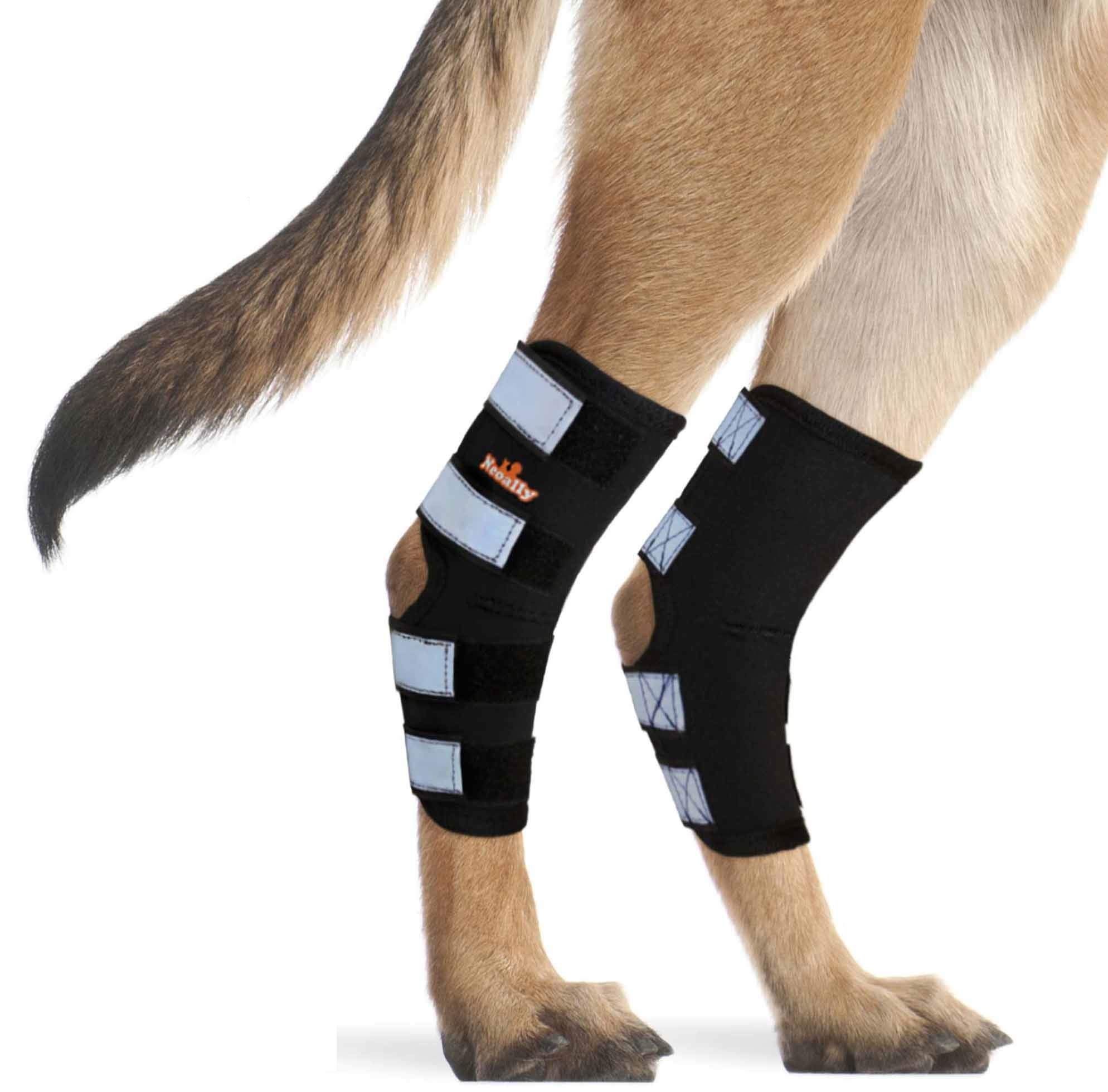 NeoAlly Dog Rear Leg Braces [Long Version] Canine Hind Hock Wraps with