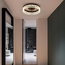 Jaycomey Modern LED Ceiling Light