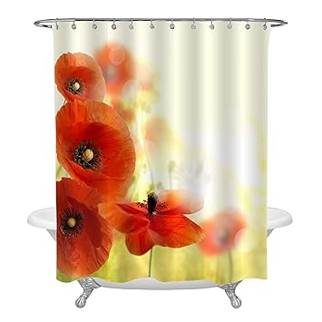 Amazon Com Mitovilla Bright Red Poppy Flowers In Rural Field