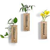 Walasis Wood Wall Vase Decor: Rustic Wooden Decor for Farmhouse Bathroom Kitchen Hallway - Hanging Plant Propagation Stations for Indoor Plants Dried Flowers Eucalyptus