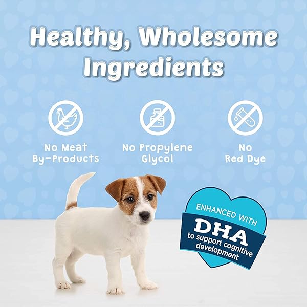 BLUE BUFFALO BITS SOFT DOG TREATS FOR TRAINING, MADE WITH NATURAL INGREDIENTS & ENHANCED WITH DHA, BEEF RECIPE, 4-OZ BAG