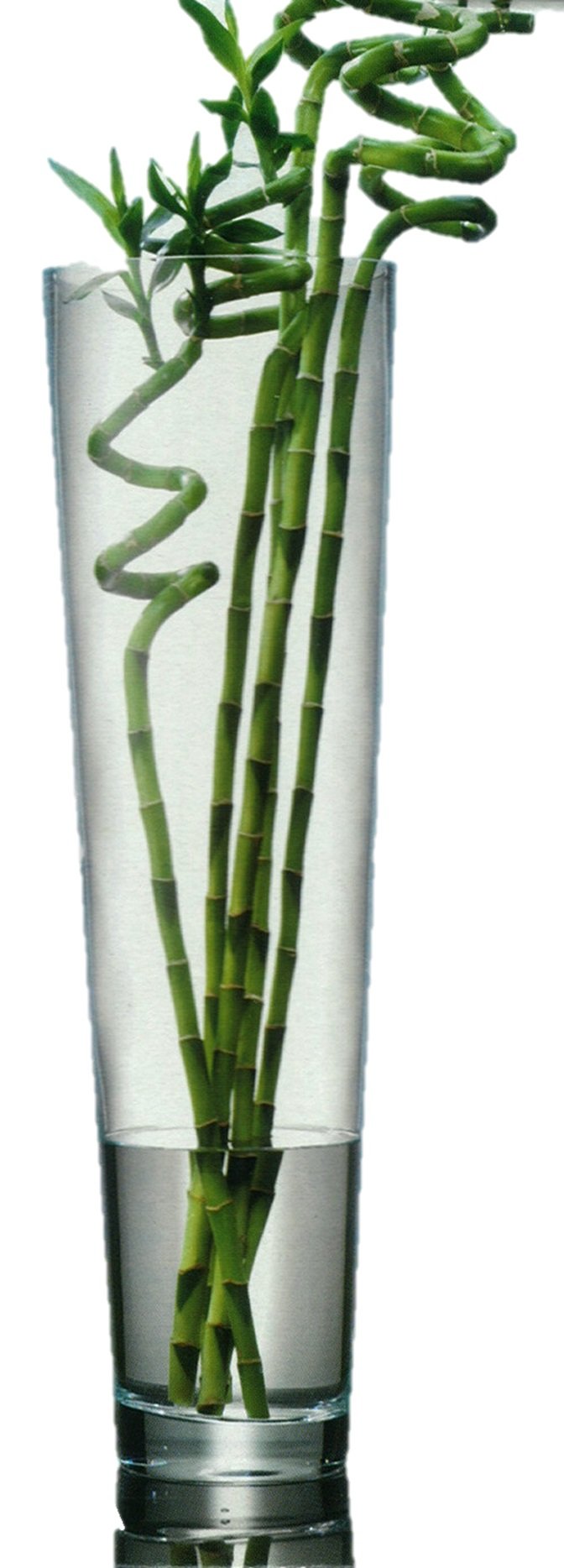 Very Large Clear Glass Tall Floor Standing Vase Large Glass Flower Vase