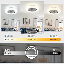 DLLT Ceiling Fan with Led Lights, 20'' Modern