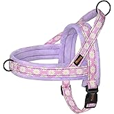 Didog No Pull Dog Harness with Soft Padded, Easy Walk Dog Harness with Quick Release Buckle, Adjustable & Reflective Pet Harness with Soft Padded for Small Medium Dogs (S:Chest 19-22", Purple)