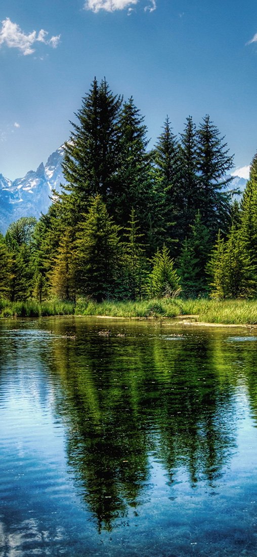 PeelitStickit, Beautiful Nature Wall Murals, ID-1889, vinyl