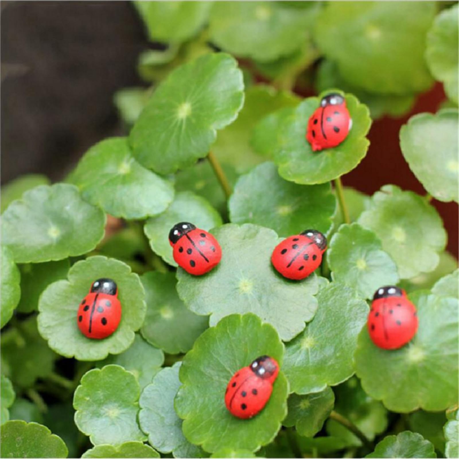 30 PCS Cute Ladybug Car Stickers, Red Self-Adhesive Ladybugs Cars Decorations Ornaments for DIY Crafts, Lady Bugs Decor for Scrapbooking Fairy Garden Party Home