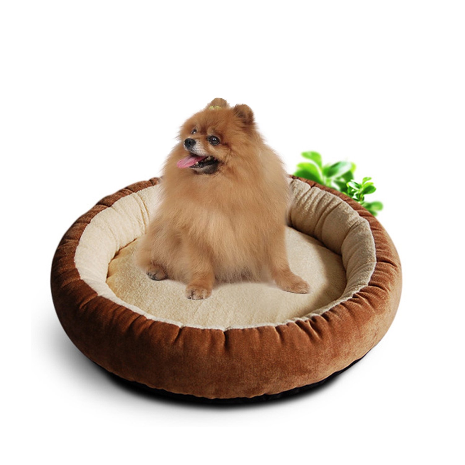 Yaayan Small Dog Bed Warmer Pet Beds for Small Sogs