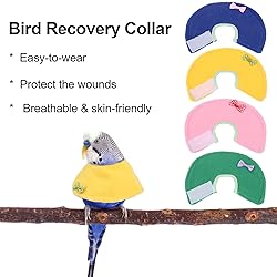 4 Pcs Bird Cone Collar Pet Anti-bite Elizabethan