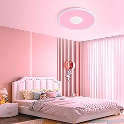 LED Ceiling Light Fixture with Bluetooth