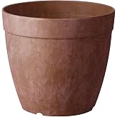Root &amp; Vessel Dolce Round Planter, Rust, 12"