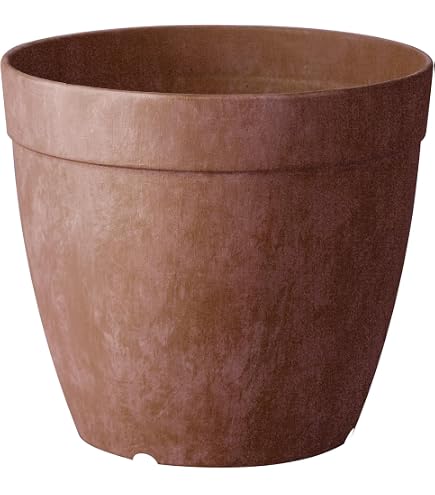 Root & Vessel Dolce Blumentopf Rund – 20,3 Cm, Schwarz, Selbstbewässernd Für Drinnen & Draußen