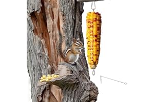 OQUQO Squirrel Feeder for Outside, Hanging Corn Cobs Holder for Squirrels Chipmunk (1)