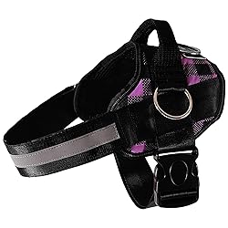 Joyride Basic Essential Dog Harness 1.0