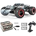 Double Delight Remote Control Car, 1:14 Scale RC Truck 38+ KM/H Speed, 2.4G All-Terrain Off-Road Truck Toy Gifts for Boys and Adults with 2 Rechargeable Batteries Provide 40+ Min Playtime (Blue)
