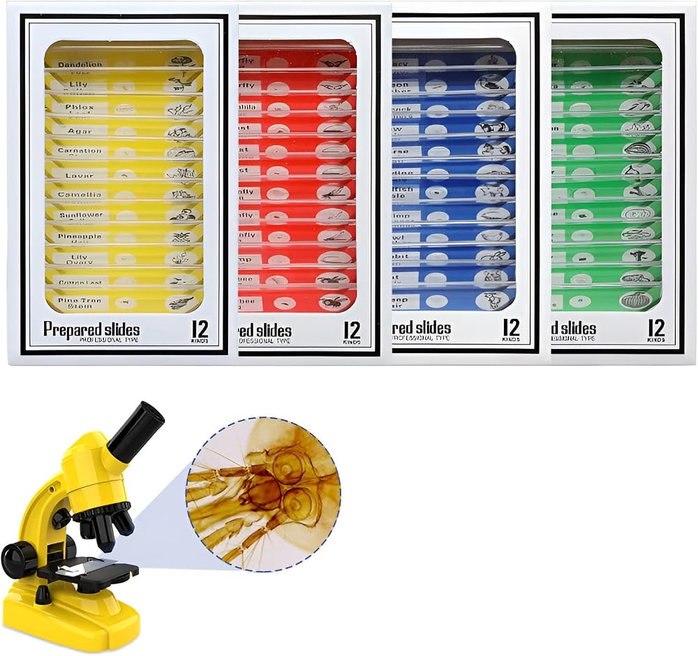 Ninyoon 48pcs Microscope Slides with Specimens for Students ABS Plastic