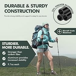 KINGGEAR Walking Stick for Hiking - Adjustable