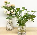 FANTIAN White Decorative Pebbles 2 lbs 30-50 mm for Garden Pots Aquariums view 7
