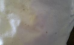 Review Image by Ashley