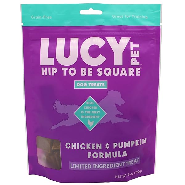 LUCY PET HIP TO BE SQUARE CHICKEN AND...