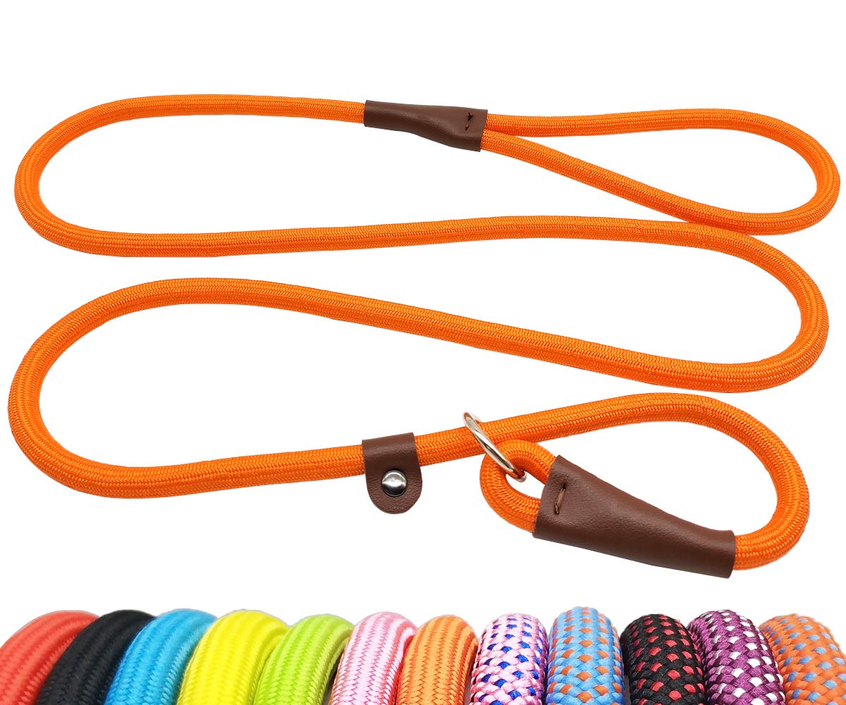 BTINESFUL 5FT Durable Slip Lead Rope Dog Leash, No Pull Nylon Training Leash for Medium Large Dogs, 1/2" X 5', Orange
