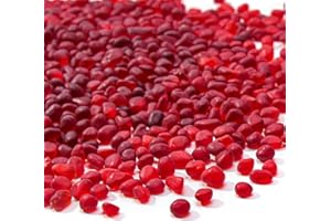 Keedolla 0.5 Lb Red Sea Glass Pebbles Stones Aquarium Gravel Fish Tank Rocks Small Frosted Glass Marbles Gemstones for Fish Turtle Tank, Vase Fillers and DIY Crafts