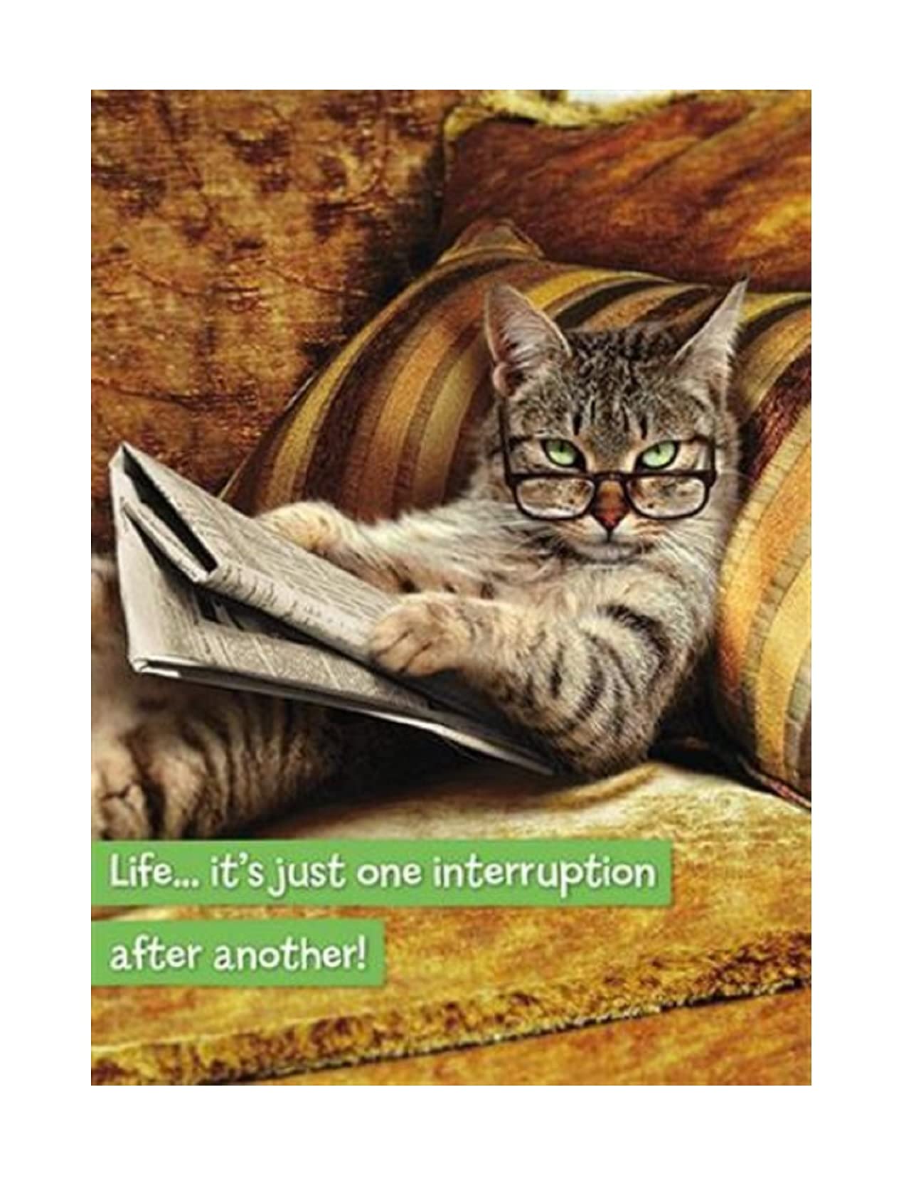 Tabby Cat Reading Newspaper Any Occasion Humour Card