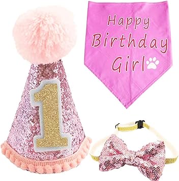 dog 1st birthday hat